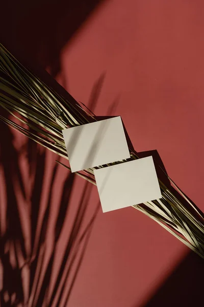 審美的な豪華なボヘミアンブランドや招待状のカードテンプレート 空のモックアップコピースペースと空白の紙の招待状のカードシート 太陽の影と真紅の背景に乾燥ヤシの葉 — ストック写真