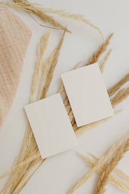 Sahte kopya alanı olan boş kağıt kağıtlar, beyaz arka planda kuru otlar. Düz konum, üst görünüm minimal ticari marka şablonu