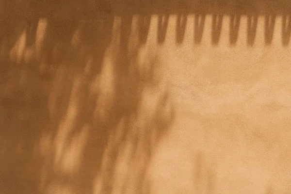 Aesthetic Sunlight Shadow Tree Leaves Neutral Orange Wall Background — Stock Photo, Image