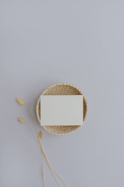Blank paper card with mockup copy space, elegant dried rabbit tail grass stem on neutral pastel background. Top view, flat lay minimalist aesthetic simplicity brand template