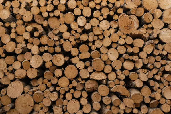 Pile Wood Logs Stumps Stacks Lumber — 스톡 사진