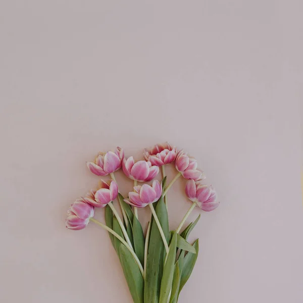 Tulip Flowers Bouquet Pink Background Flat Lay Top View — Zdjęcie stockowe