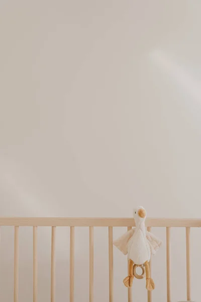 Anka Leksak Babysäng Mot Vit Vägg — Stockfoto