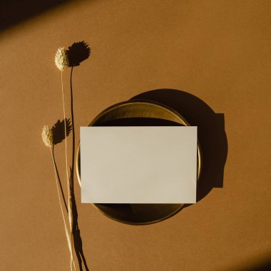 Paper card sheet with blank mockup copy space and dried rabbit tail grass on warm tan background. Aesthetic sunlight shadow silhouette. Luxury bohemian minimal invitation or business card template