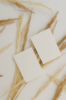 Aesthetic bohemian branding or invitation card template. Blank paper invitation card sheet with empty mock up copy space, dried pampas grass stems on white background