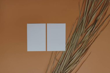 Fotokopi alanı olan boş kağıt kağıdı, turuncu arka planda kuru palmiye yaprağı. Düz konum, üst görünüm estetik minimal ticari marka şablonu