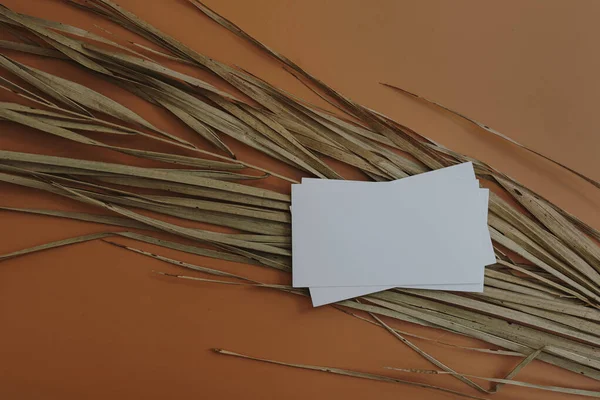 平整的空白纸制卡片 干棕榈叶柄在橙色背景上 业务模板 顶视图 平面外层简约商业品牌概念 — 图库照片
