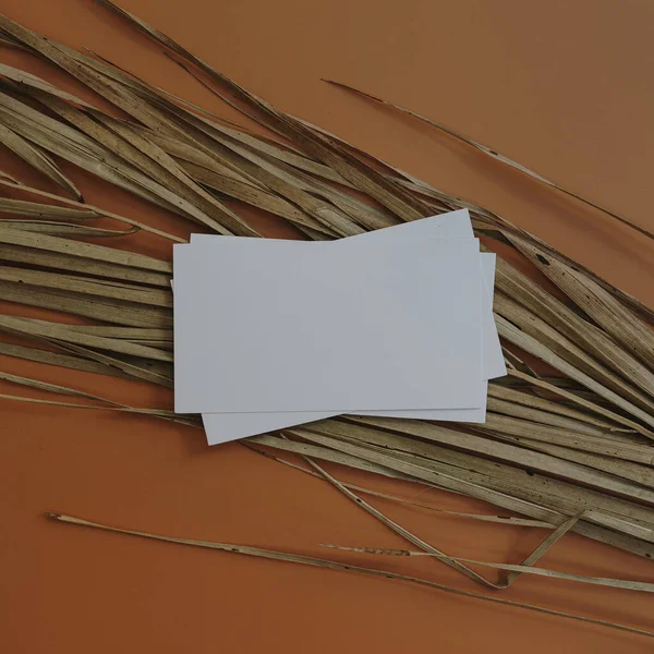 空白纸卡片 仿制复制空间 干棕榈叶橙色背景 美感波希米亚最小的商业品牌模板 平躺在地上 俯瞰四周 — 图库照片