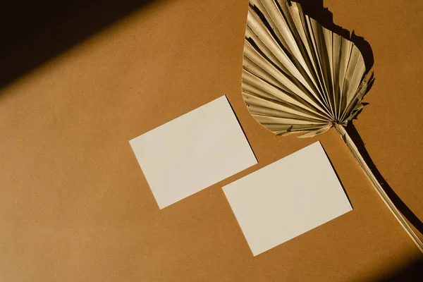 Blanco Papieren Velletjes Met Kopieerruimte Droog Ventilatorblad Zonlicht Schaduwen Oranje — Stockfoto