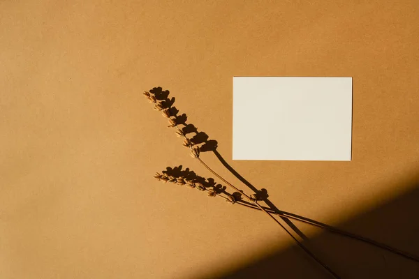 Kağıt Kağıtlar Boş Fotokopi Alanı Sıcak Bronzlaşmış Arka Planda Kurutulmuş — Stok fotoğraf