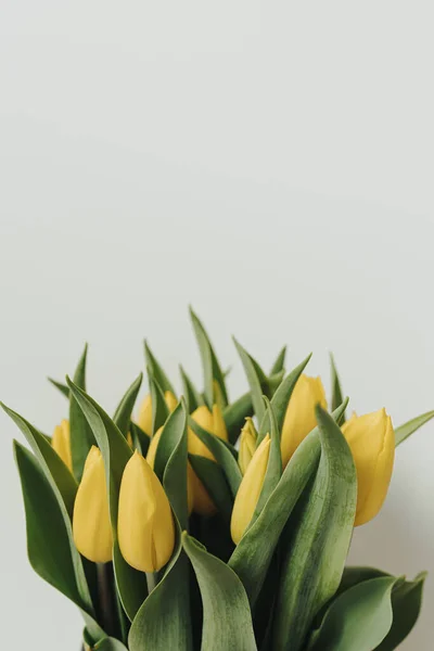 Желтый Букет Цветов Тюльпана Белом Фоне Минималистская Элегантная Эстетическая Цветочная — стоковое фото