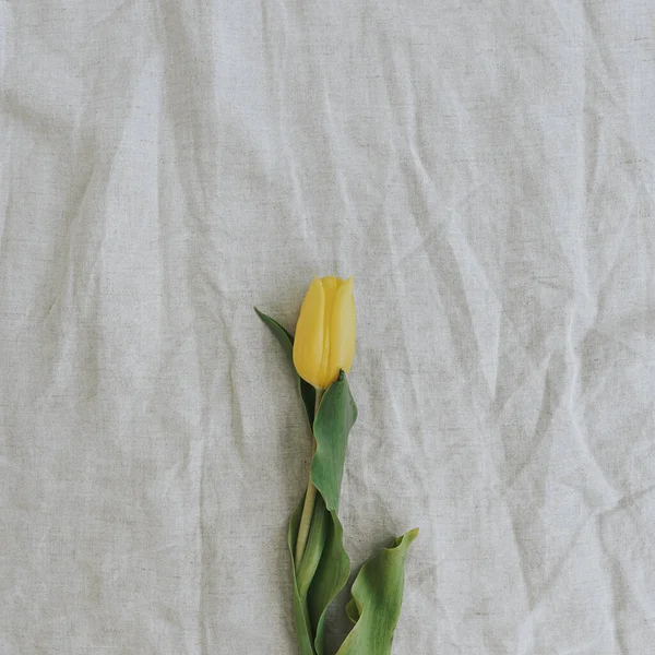 Delikatny Elegancki Żółty Kwiat Tulipana Pogniecionym Tle Tkaniny Lnianej Przestrzenią — Zdjęcie stockowe