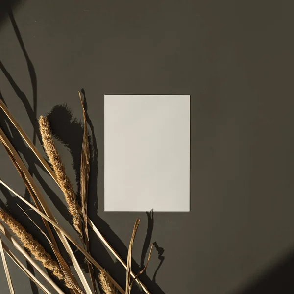 Üres Papírlap Mockup Másolópapírral Bolyhos Szárított Pampafű Esztétikai Meleg Napfény — Stock Fotó