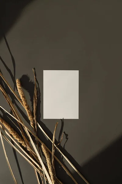 Üres Papírlap Mockup Másolópapírral Bolyhos Szárított Pampafű Esztétikai Meleg Napfény — Stock Fotó