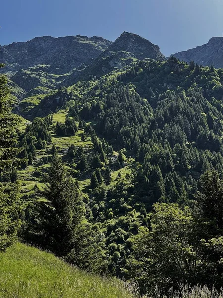 Γραφική Άποψη Των Βουνών Κοιλάδα Δάσος Ουρανός Σύννεφα Τοπίο — Φωτογραφία Αρχείου