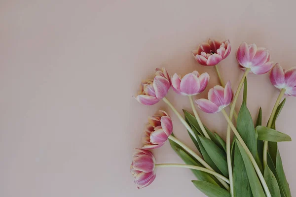Нежный Букет Цветов Тюльпана Нейтральном Розовом Фоне Копировальным Пространством — стоковое фото
