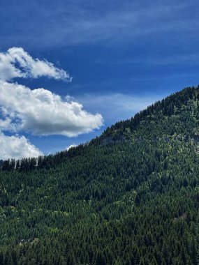 Dağ tepesinin, ormanın, gökyüzünün ve bulutların manzarası. Manzaralı doğa manzarası. Yaz tatili