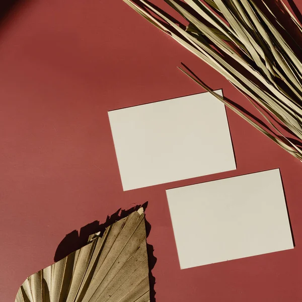 空白纸卡片 在红色背景上模拟复制空间 阳光阴影轮廓 热带干棕榈叶 美感波希米亚最小的商业品牌模板 平躺在地上 俯瞰四周 — 图库照片