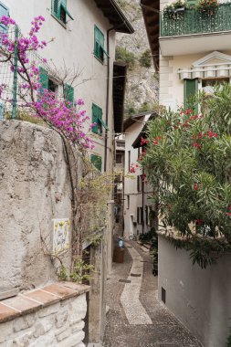 Kırsal İtalyan mimarisi. Geleneksel tarihi Avrupa kır binaları. Ahşap pencereleri, çiçekleri ve çiçek açan ağaçları var. Estetik yaz tatili seyahat kavramı