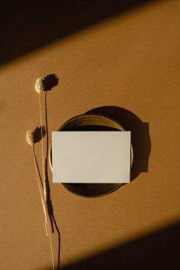 Sahte kopya alanı olan boş kağıt kağıtlar, kızıl arka planda tüylü tavşan kuyruğu çimenler ve güneş ışığı gölgeleri silueti. Estetik bohem, en az ticari marka şablonu. Düz yatış, üst görünüm