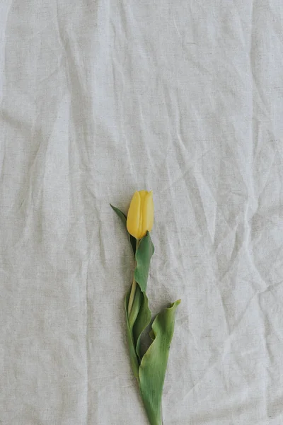 Delicado Elegante Flor Tulipa Amarela Fundo Tecido Linho Amassado Com — Fotografia de Stock