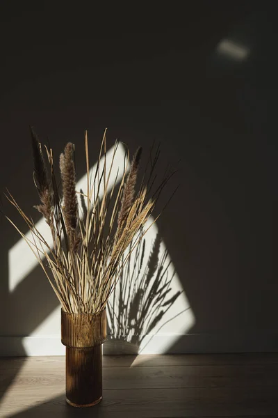 Esztétikai Úton Szárított Bézs Pampafű Nád Üvegvázában Gyönyörű Minimális Háttér — Stock Fotó