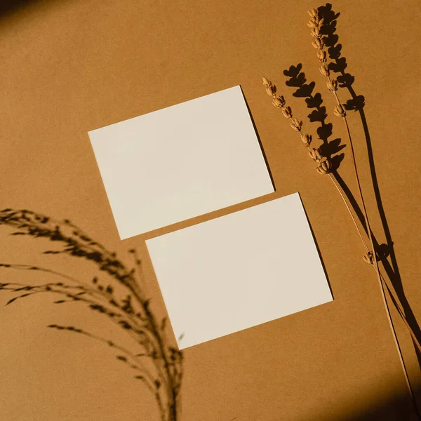 美感豪华波希米亚品牌或邀请卡模板 空白纸 空白模拟复制空间的邀请卡 橙色背景上有阳光阴影的干草茎 — 图库照片