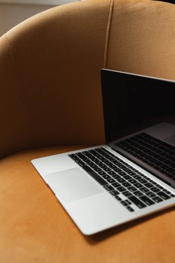 Konforlu şezlongda dizüstü bilgisayar. Evde çalış. Serbest İşyeri