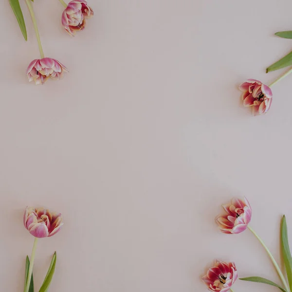 Рамка Цветов Тюльпана Пустым Копировальным Местом Розовом Фоне Плоский Вид — стоковое фото