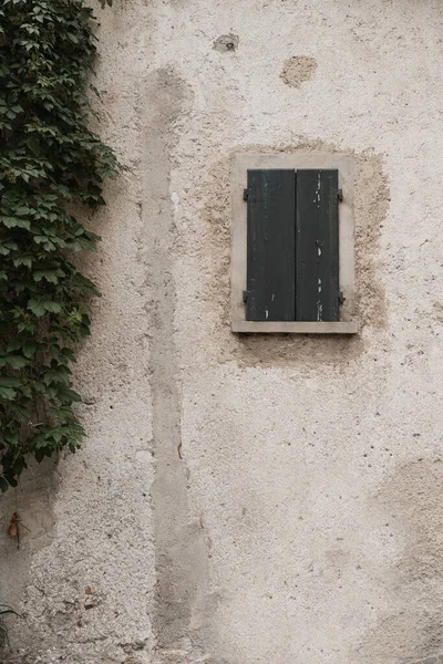 Rustikale Italienische Architektur Alte Hausfassade Mit Gebüsch Holzfenster Und Neutraler — Stockfoto