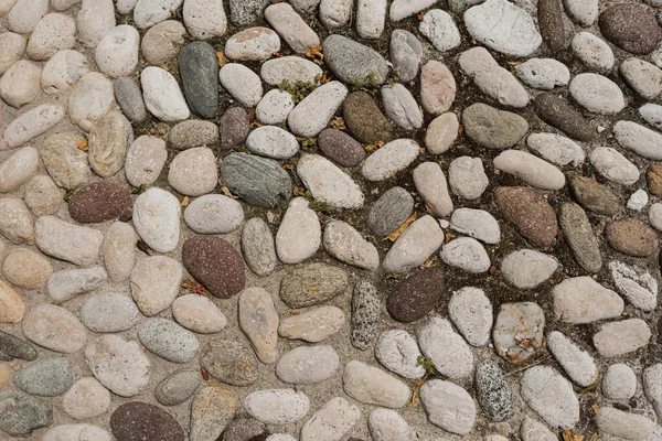 Twarda Teksturowana Powierzchnia Wzór Tła Kamieni — Zdjęcie stockowe