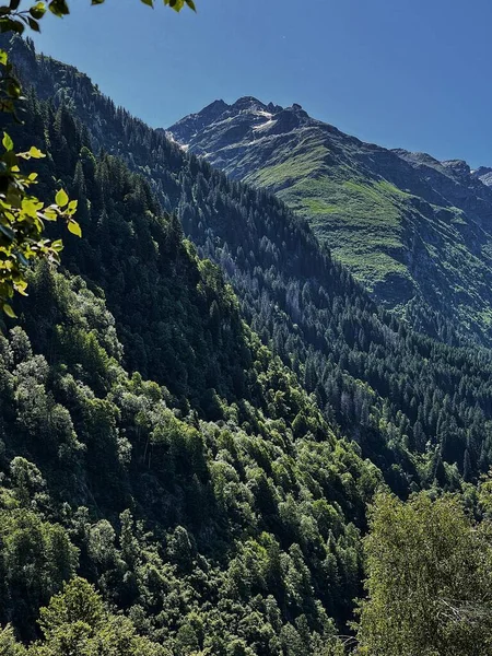 Dağ Tepesinin Ormanın Gökyüzünün Bulutların Manzarası Manzaralı Doğa Manzarası Yaz — Stok fotoğraf