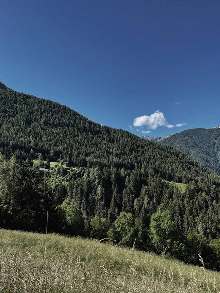 Stock image Picturesque view of mountain hill, forest, sky and clouds. Scenic nature landscape. Summer vacation travel