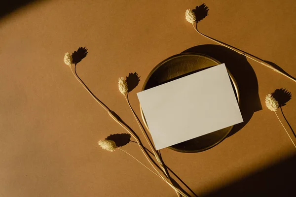 Feuille Papier Avec Espace Copie Vierge Fleur Herbe Queue Lapin — Photo