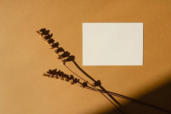 Kağıt Çarşaf Kartı Boş Kopya Alanı Kurutulmuş Çiçek Çimleri Bronzlaşmış — Stok fotoğraf