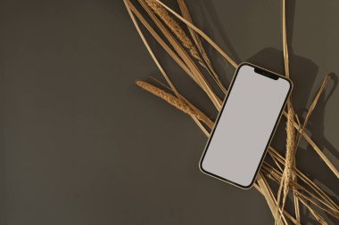 Koyu arkaplanda kopyalama alanı olan boş ekran cep telefonu. Kurumuş ot sapı. Düz yerde, üst tarafta. Boşluk düzenleme şablonunu kopyala.