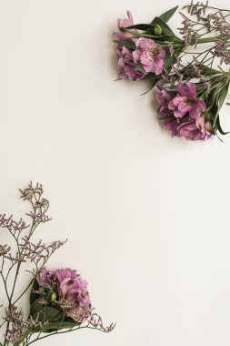 Beyaz arkaplanda güzel çiçeklerden yapılmış boş fotokopi alanı olan boş bir çerçeve. Düz konum, üst görünüm minimal çiçek bileşimi