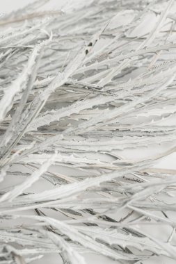 Beyaz arka planda kuru çiçek yaprakları ve dallar. Düz konum, üst görünüm en az nötr çiçek bileşimi