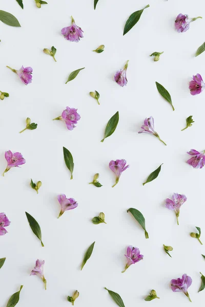 Floral pattern made of purple flowers and green leaves on white background. Flat lay, top view