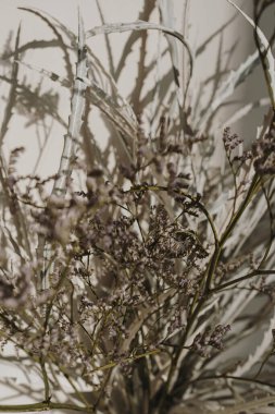 Kurutulmuş ot buketi. Duvardaki gölgeler. Güneş ışığında siluet