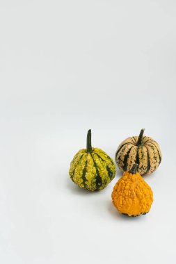 Beyaz arka planda küçük dekoratif balkabakları. Sonbahar, sonbahar, Şükran Günü ya da Cadılar Bayramı konsepti. Boşluğu kopyala