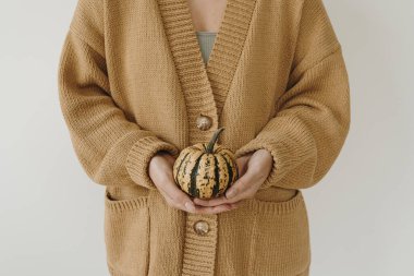 Bej örülmüş hırkalı genç bir kadın elinde dekoratif bir balkabağı ile beyaz duvarın üzerinde