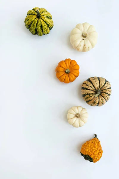 Beautiful decorative pumpkins on white background. Autumn fall season concept