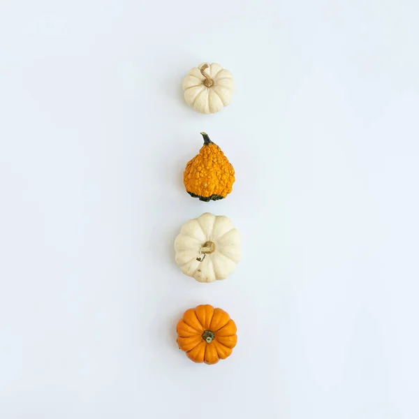 Beyaz Arka Planda Güzel Dekoratif Balkabakları Sonbahar Mevsimi Konsepti — Stok fotoğraf