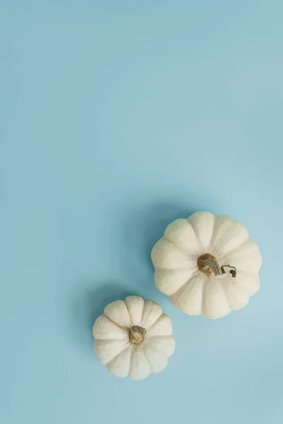 Belas Abóboras Decorativas Fundo Azul Claro Conceito Época Outono — Fotografia de Stock