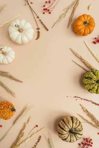 小さな装飾的なカボチャと乾燥した草 感謝祭 ハロウィンコンセプト 空白のモックアップコピースペース フラットレイ トップビュー — ストック写真