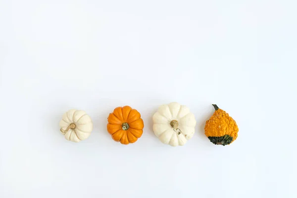 Belas Abóboras Decorativas Fundo Branco Conceito Época Outono — Fotografia de Stock