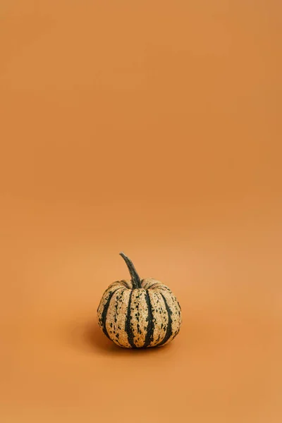 Hermosa Calabaza Decorativa Sobre Fondo Naranja Jengibre Otoño Otoño Temporada —  Fotos de Stock