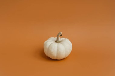 Kırmızı turuncu arka planda küçük dekoratif balkabağı. Sonbahar, sonbahar, Şükran Günü ya da Cadılar Bayramı konsepti. Boşluğu kopyala