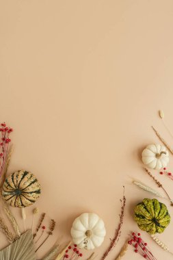 Dekoratif balkabakları ve pastel arka planda kurutulmuş çimenler. Estetik sonbahar, sonbahar, şükran günü, cadılar bayramı yaratıcı konsepti ve boş kopya alanı.